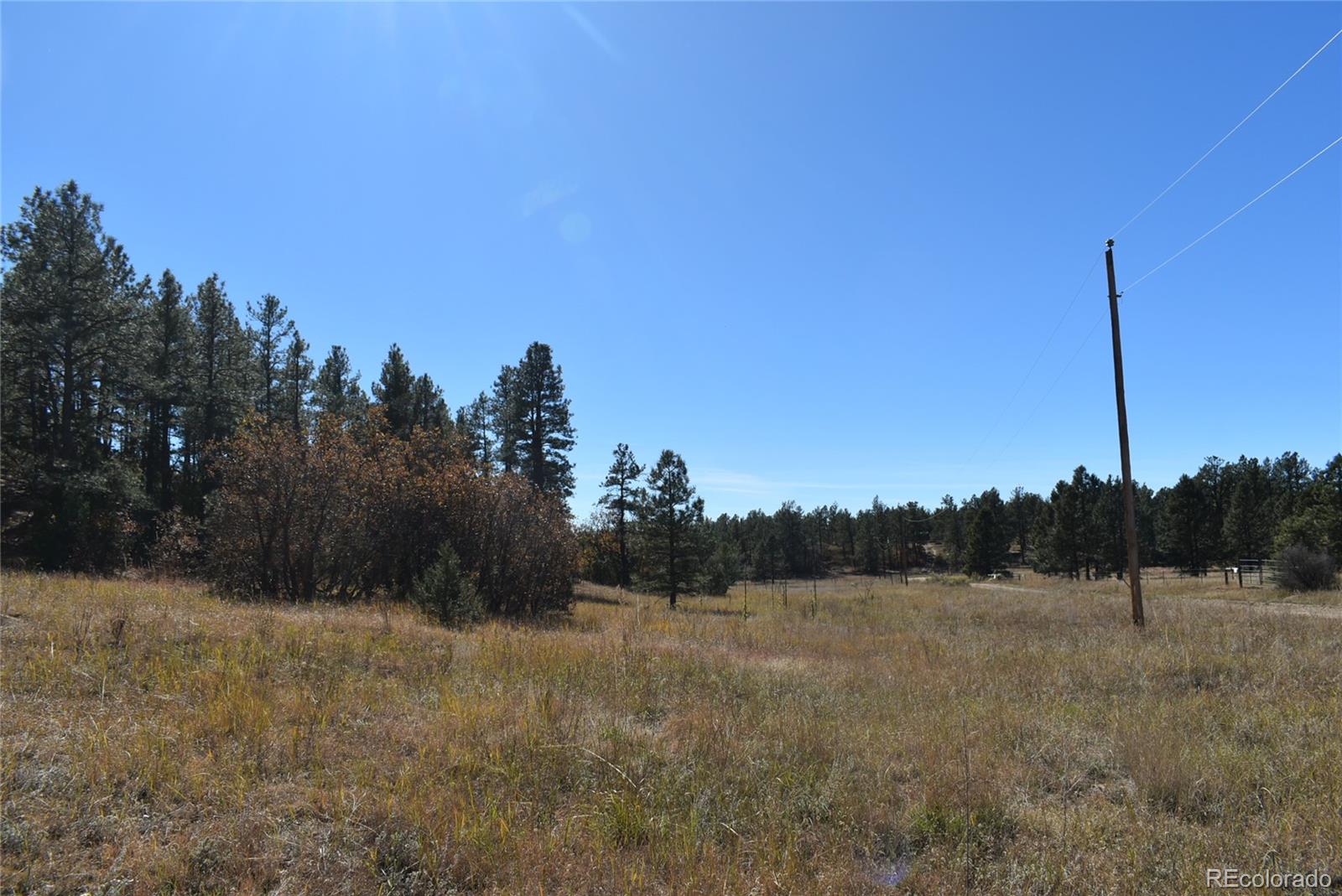 268-269 Rancho La Weston, CO 81091 - Photo 25 of 29 a view of a dry yard