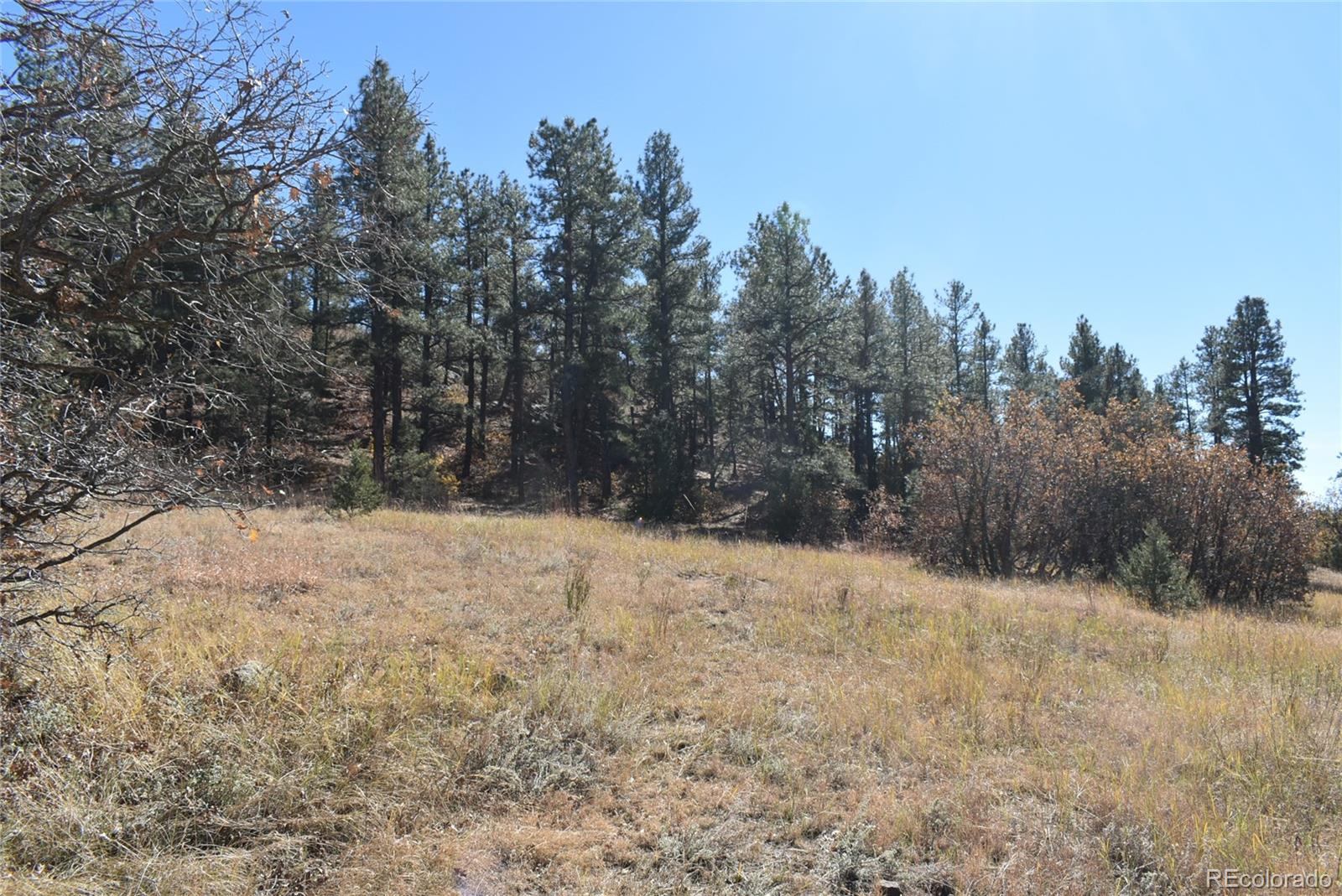 268-269 Rancho La Weston, CO 81091 - Photo 26 of 29 a view of road covered with snow