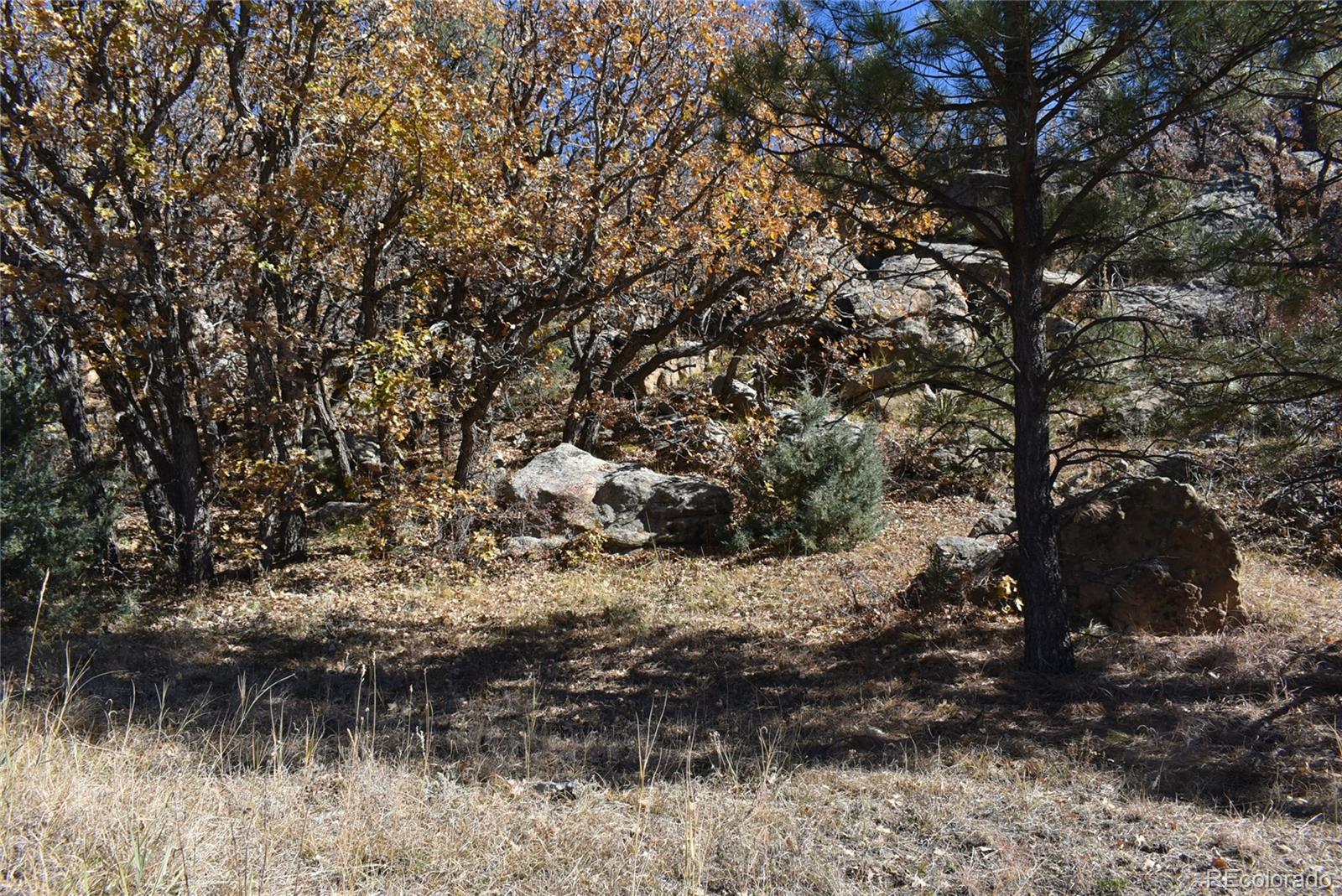 268-269 Rancho La Weston, CO 81091 - Photo 28 of 29 a backyard of a house with a yard and outdoor seating