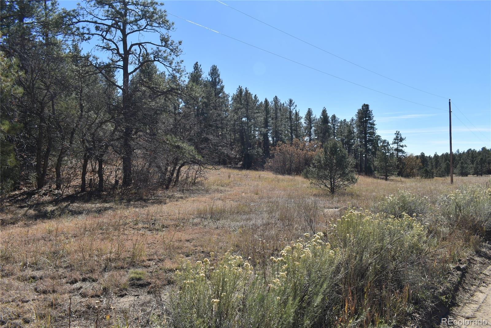 268-269 Rancho La Weston, CO 81091 - Photo 4 of 29 a view of a covered with snow in the background