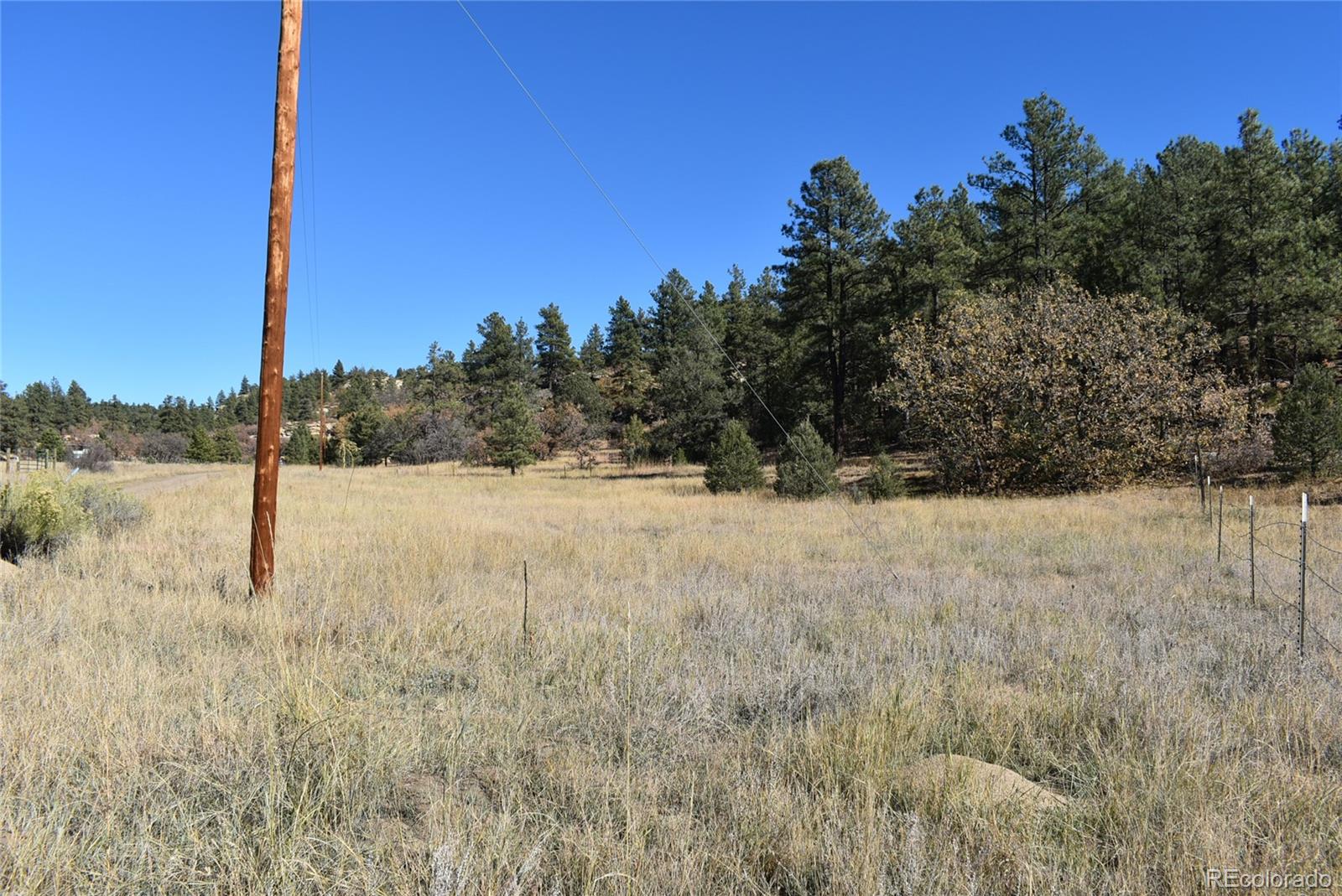 268-269 Rancho La Weston, CO 81091 - Photo 5 of 29 a view of yard covered with snow in outdoor space