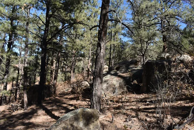 a view of outdoor space