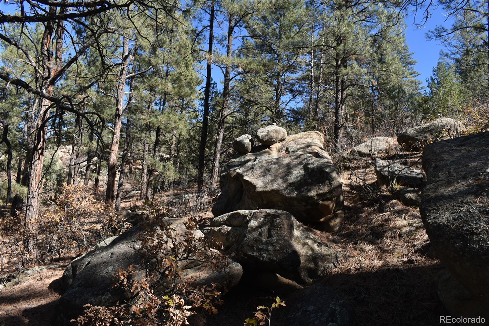 268-269 Rancho La Weston, CO 81091 - Photo 8 of 29 a view of outdoor space and covered with trees