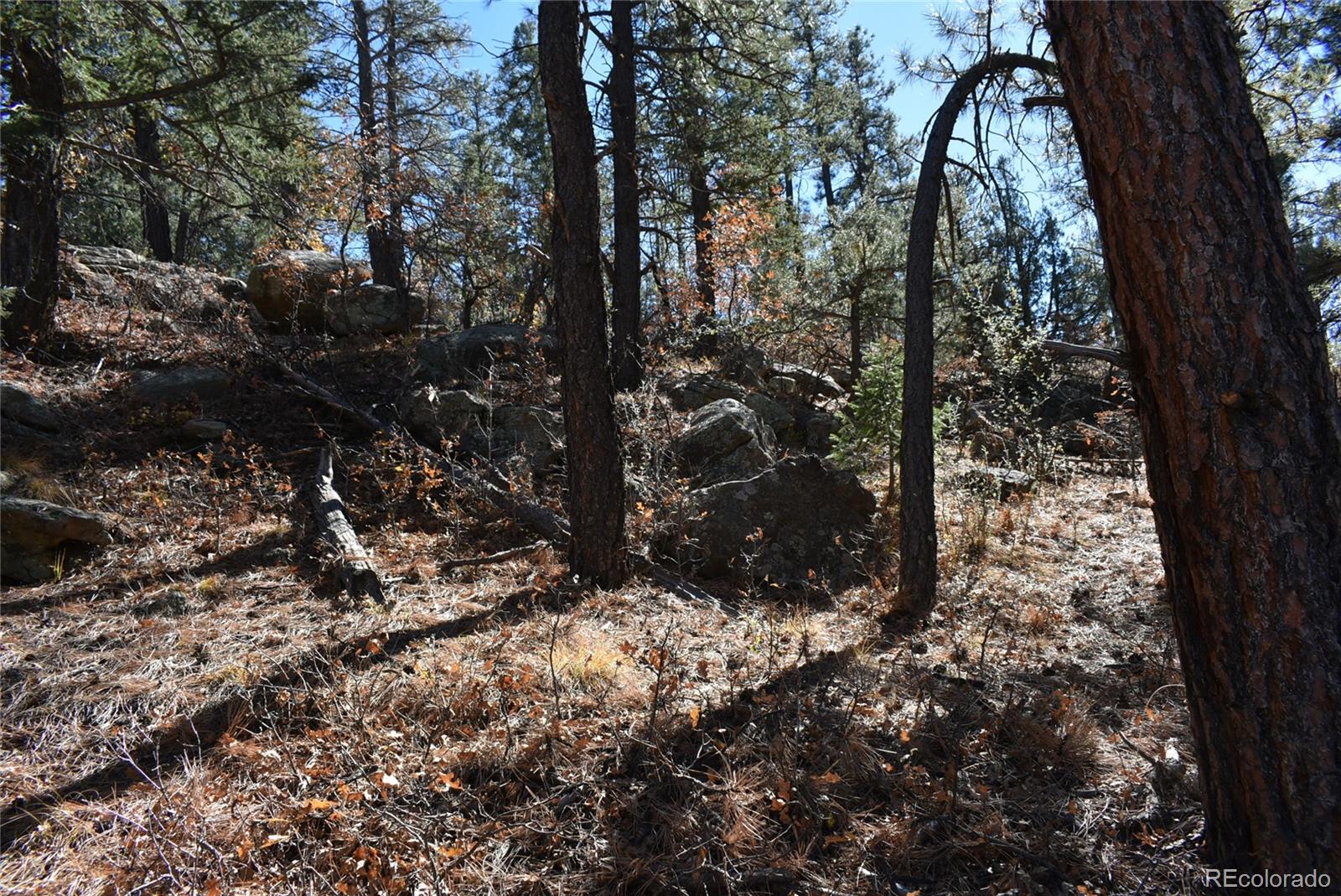 268-269 Rancho La Weston, CO 81091 - Photo 10 of 29 a view of a tree in a yard