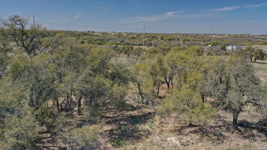 1443 Gina Road Harper, TX 78631 - Photo 42 of 49 a view of a field with trees in the background