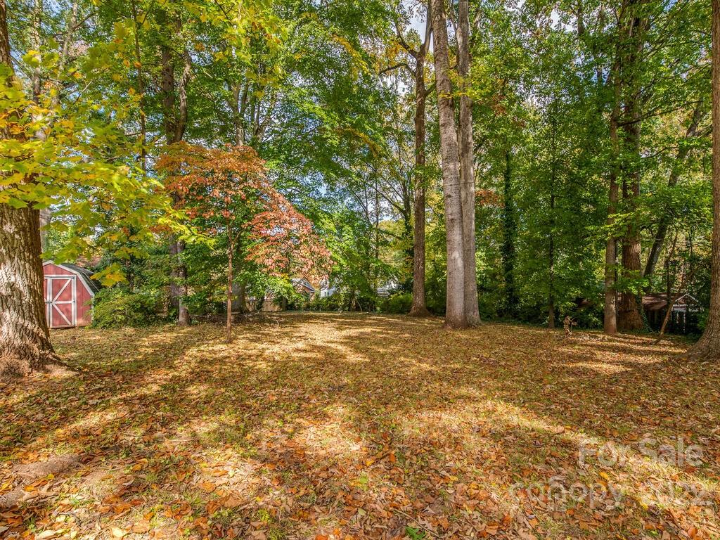627 Sandridge Road Charlotte, NC 28210 - Photo 18 of 19 a backyard of a house with a trees