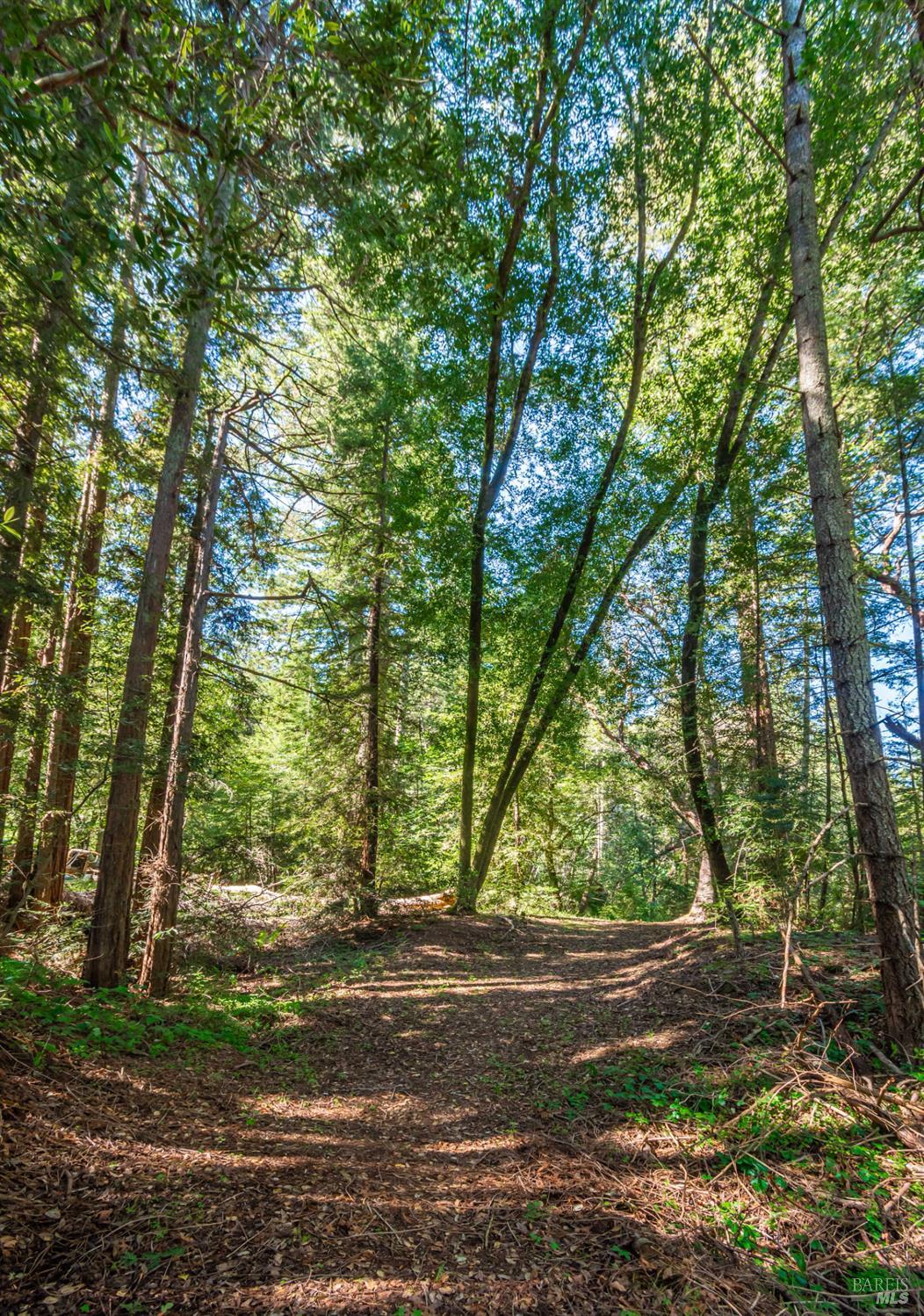 0 Dry Creek Road Napa, CA 94558 - Photo 40 of 98