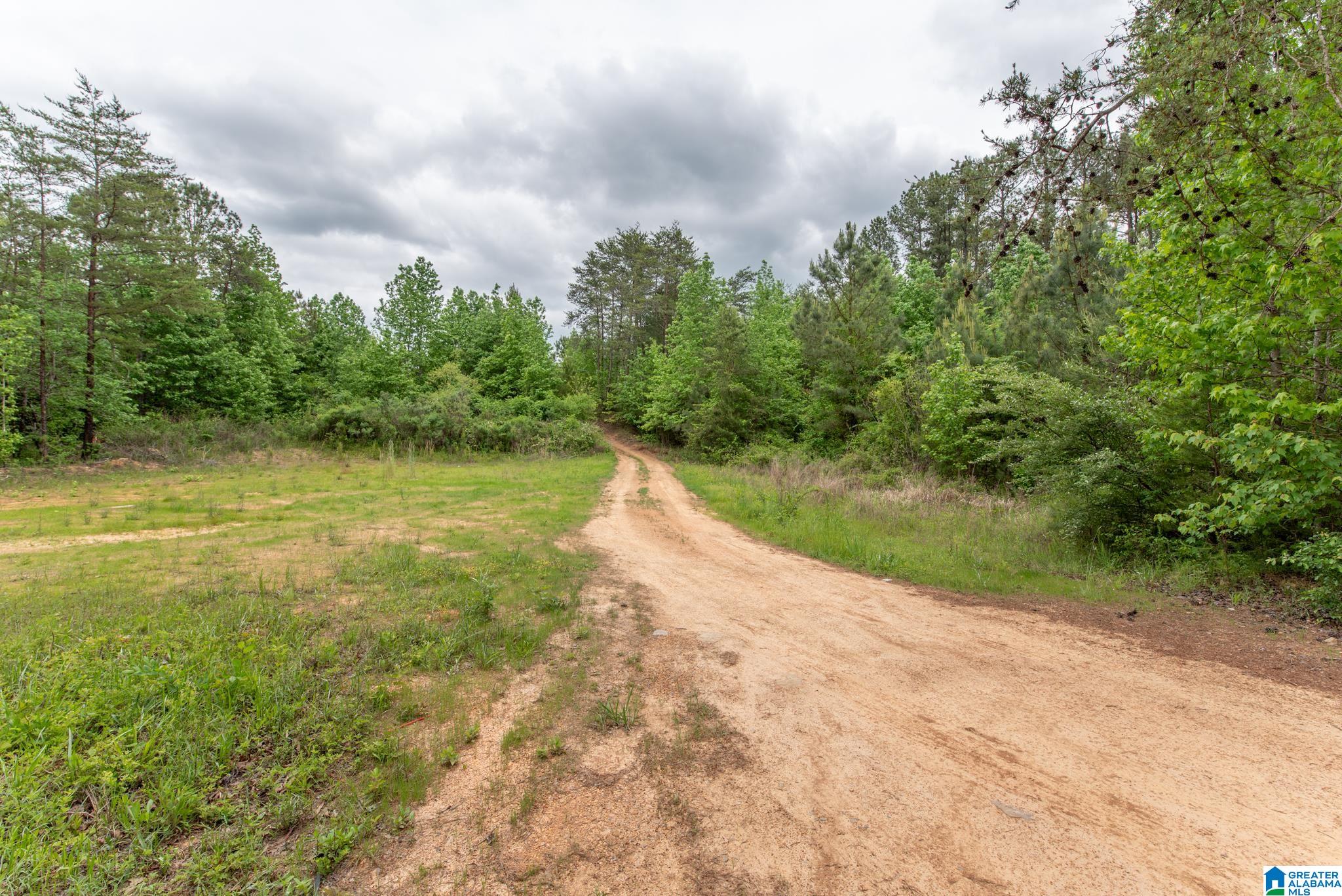 12680 Groundhog Road, Unit 1 Adger, AL 35006 - Photo 18 of 28