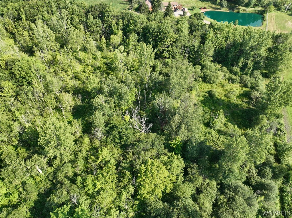Thomas Road Varysburg, NY 14167 - Photo 19 of 21
