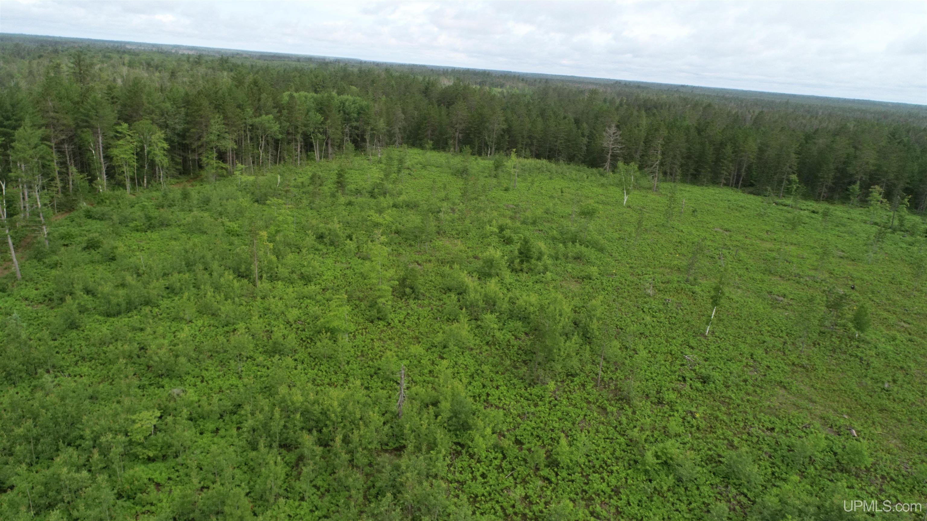 Tbd Tbd Hay Meadow Road Manistique, MI 49854 - Photo 14 of 51