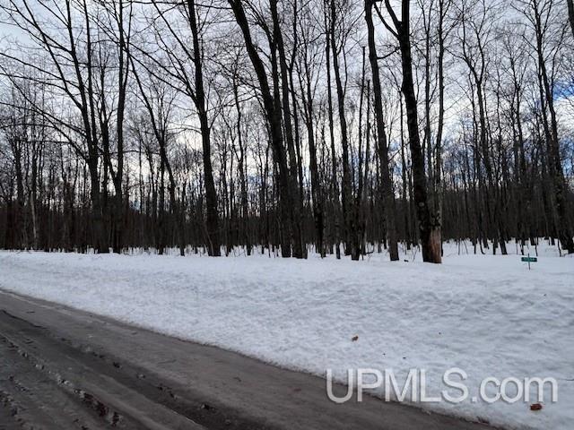 53554 North Superior Road Houghton, MI 49931 - Photo 10 of 41