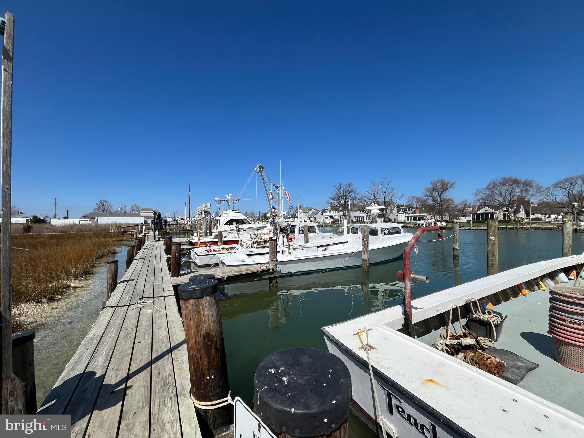 21560 Chicken Point Road Tilghman, MD 21671 - Photo 30 of 78