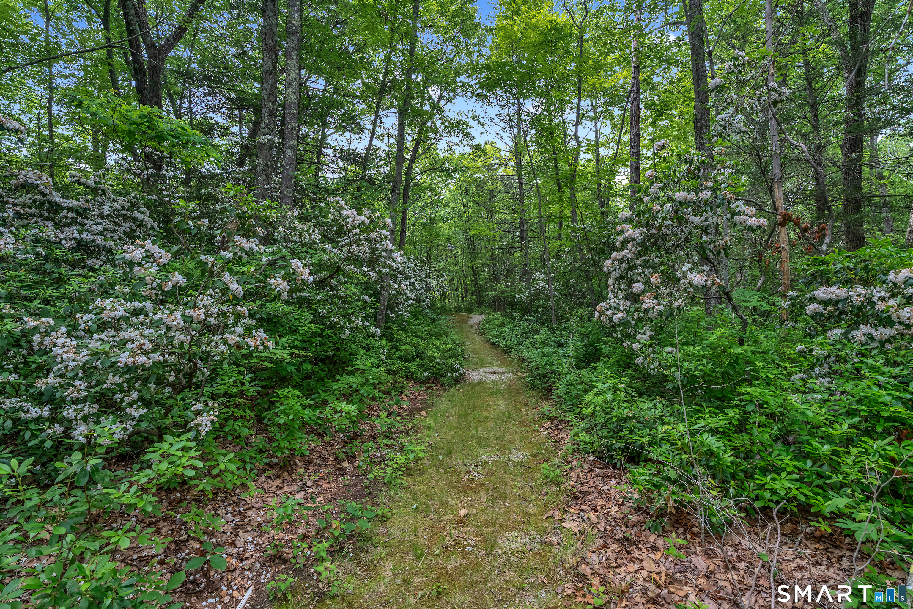 384 Beaver Meadow Road Haddam, CT 06441 - Photo 35 of 38