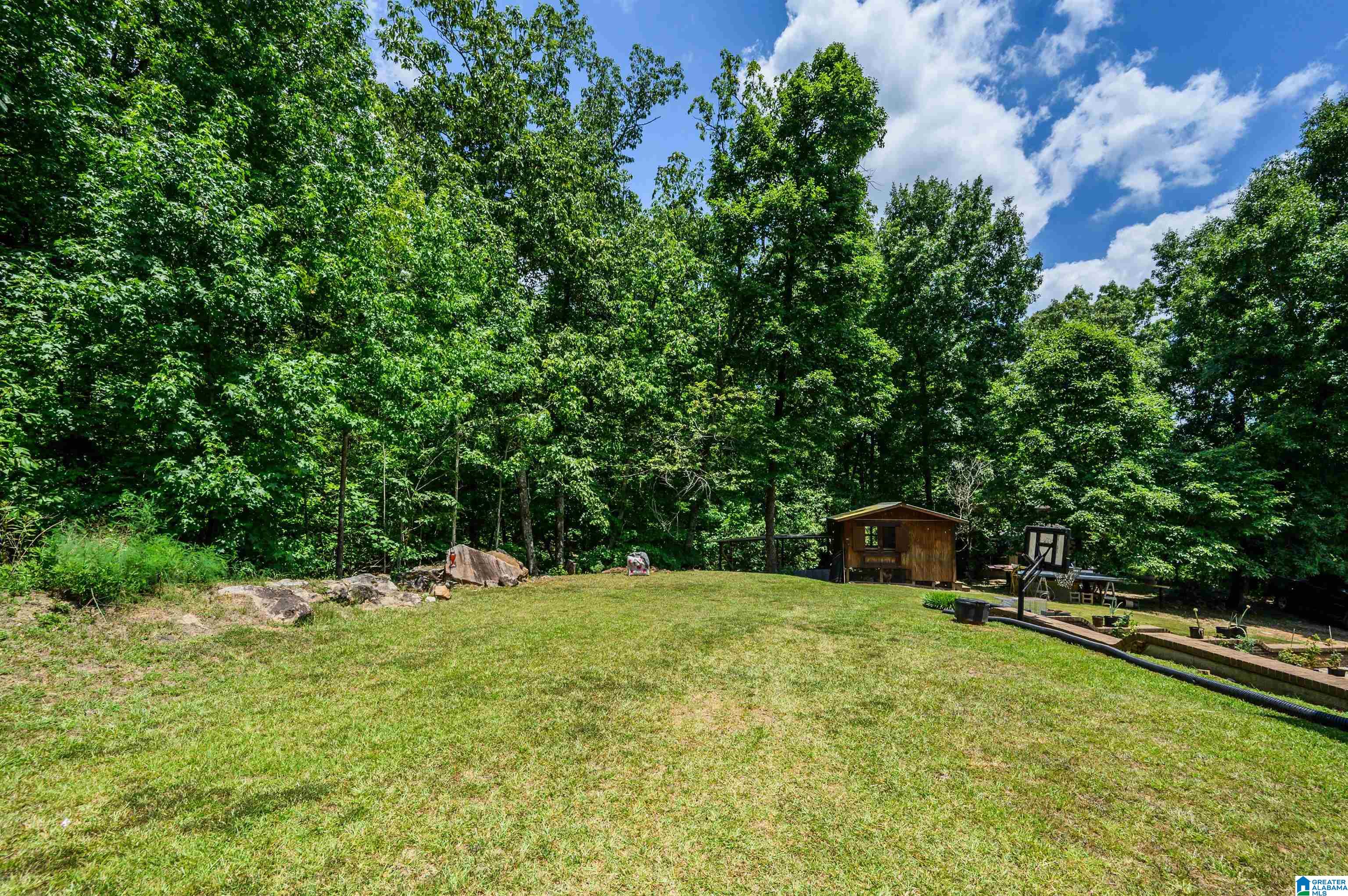 1249 Ferry Road Columbiana, AL 35051 - Photo 60 of 70