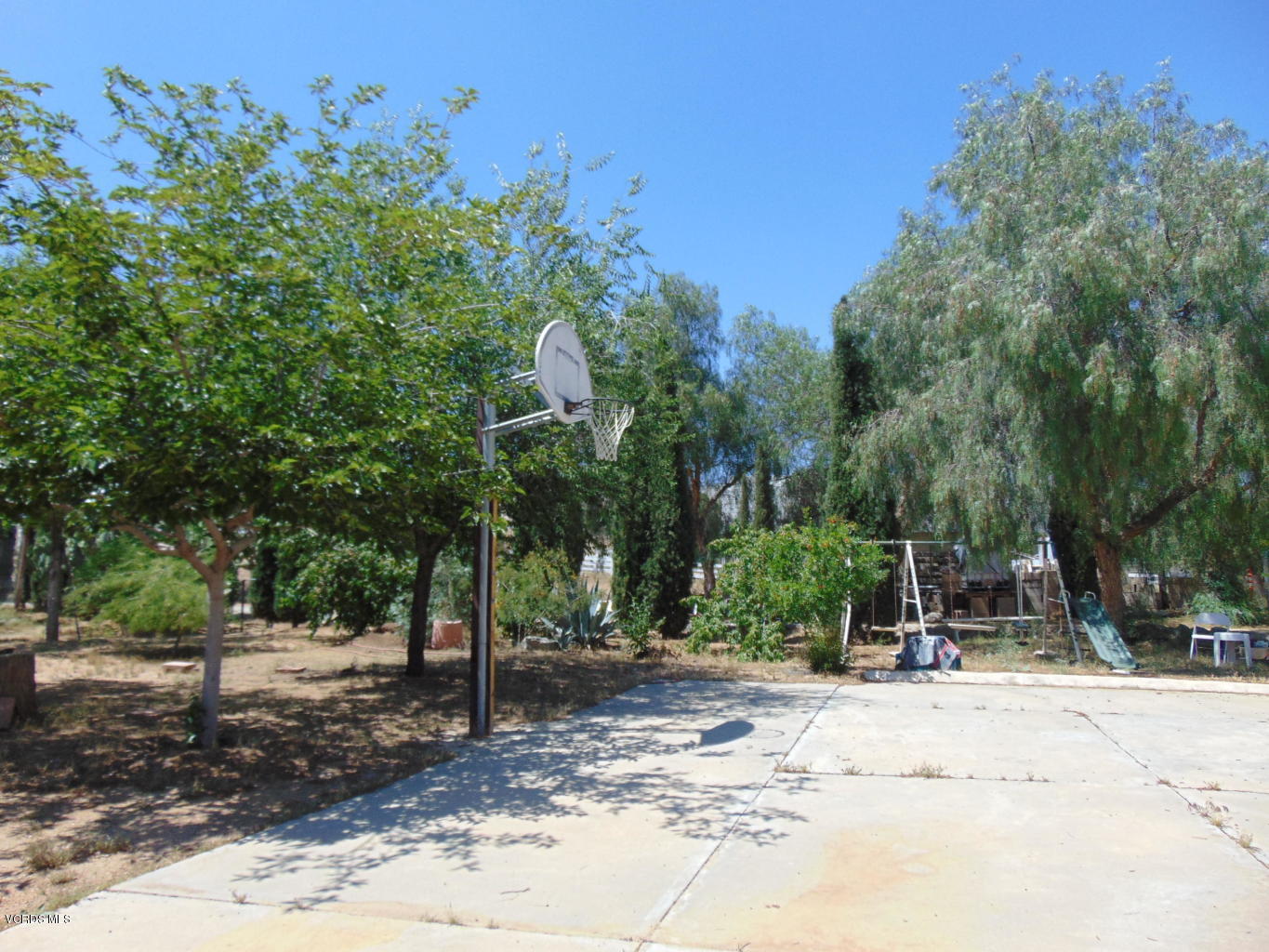 34440 Red Rover Mine Road Acton, CA 93510 - Photo 31 of 39 a view of a tree with a trees in the background