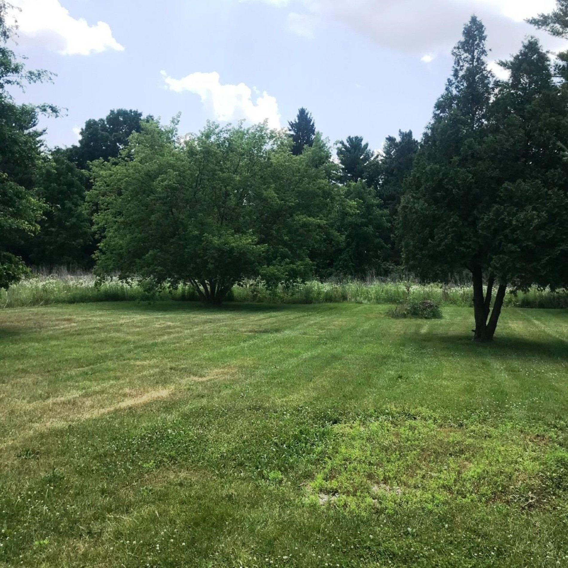 7900 Talladay Road Milan, MI 48160 - Photo 5 of 6 Photo 5