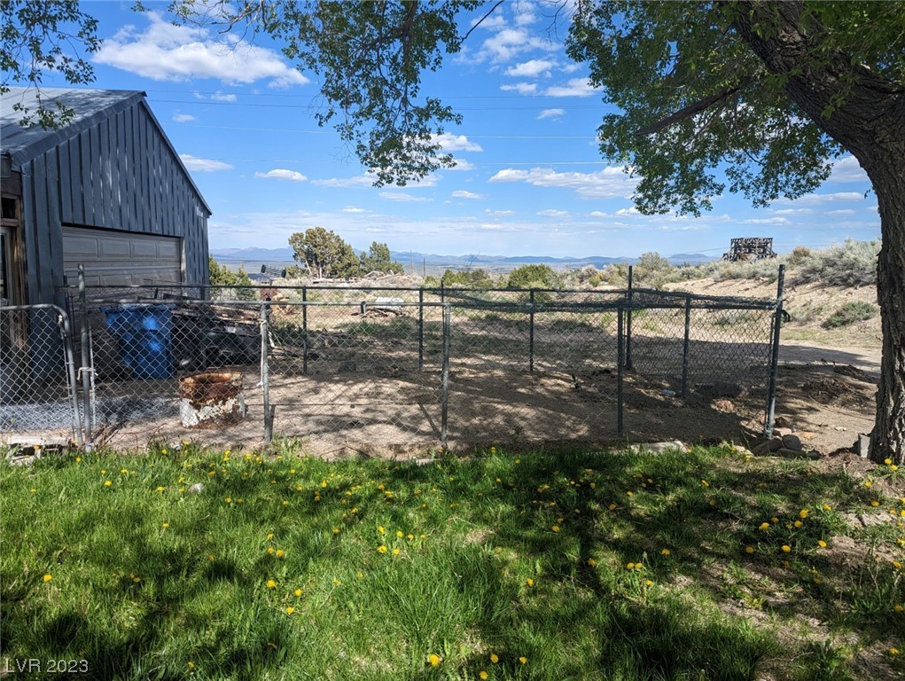 158 Lightner Street Pioche, NV 89043 - Photo 29 of 30 Dog Run