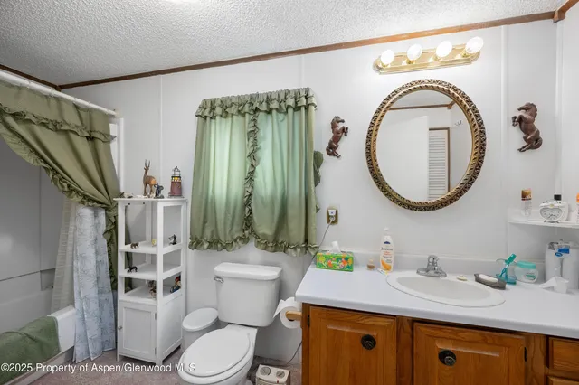 a bathroom with a toilet a sink and a mirror