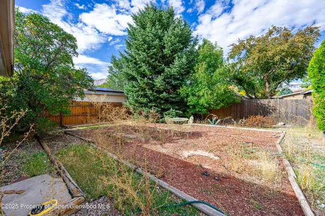 a view of a backyard with large trees and plants