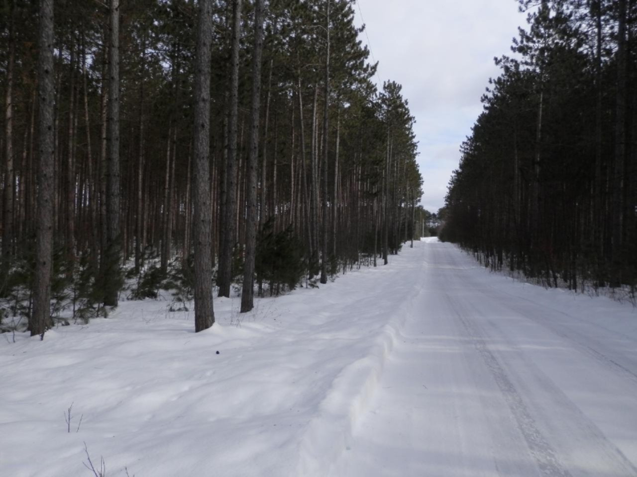 Harlan Road Thompsonville, MI 49683 - Photo 12 of 15