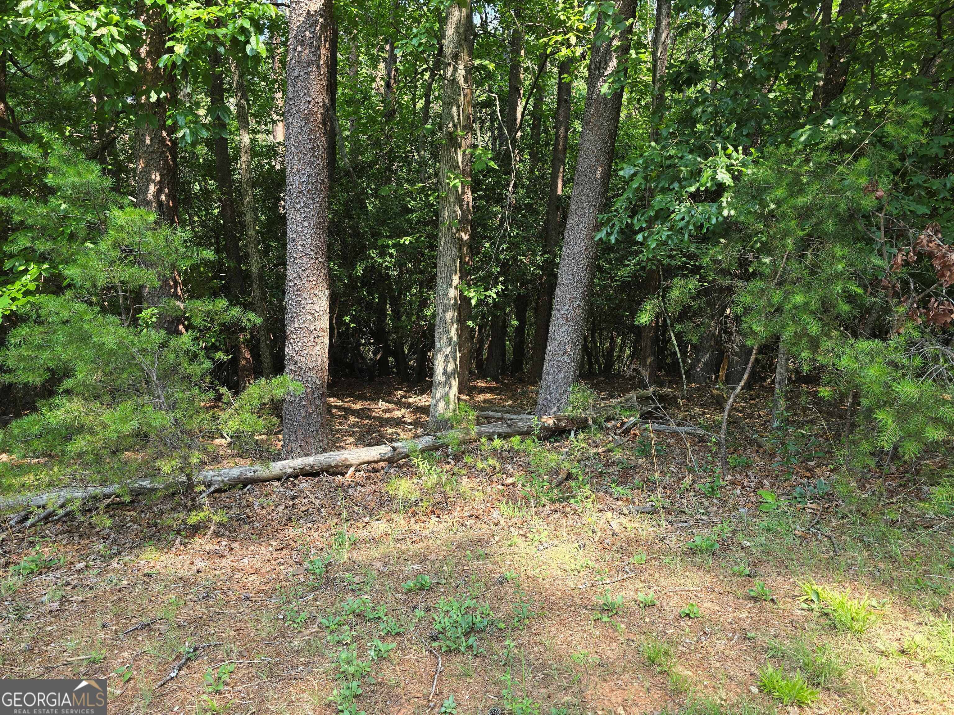 C2 Quail Run Sautee Nacoochee, GA 30571 - Photo 3 of 17