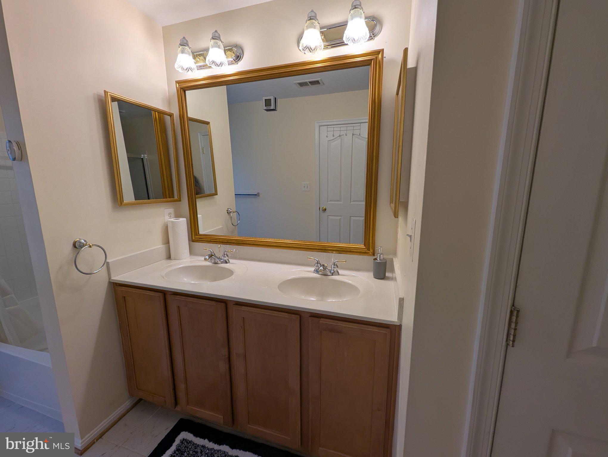 13003 Alpenhorn Way Silver Spring, MD 20904 - Photo 40 of 70 Elegant dual-sink bathroom retreat.