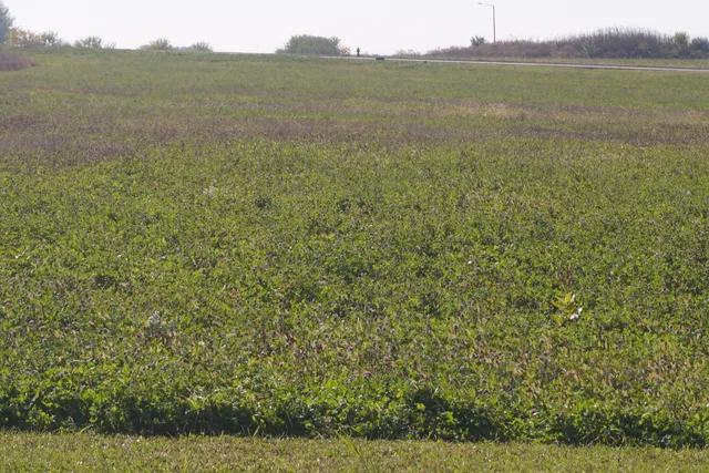 $399,000 | 52 South Rd Manhattan Il 60442 Road, Manhattan, IL 60442