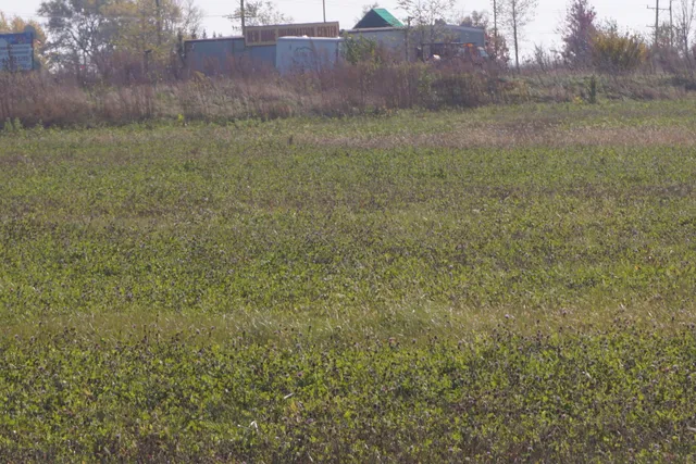 $399,000 | 52 South Rd Manhattan Il 60442 Road, Manhattan, IL 60442