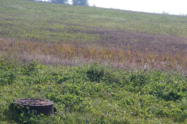 $399,000 | 52 South Rd Manhattan Il 60442 Road, Manhattan, IL 60442