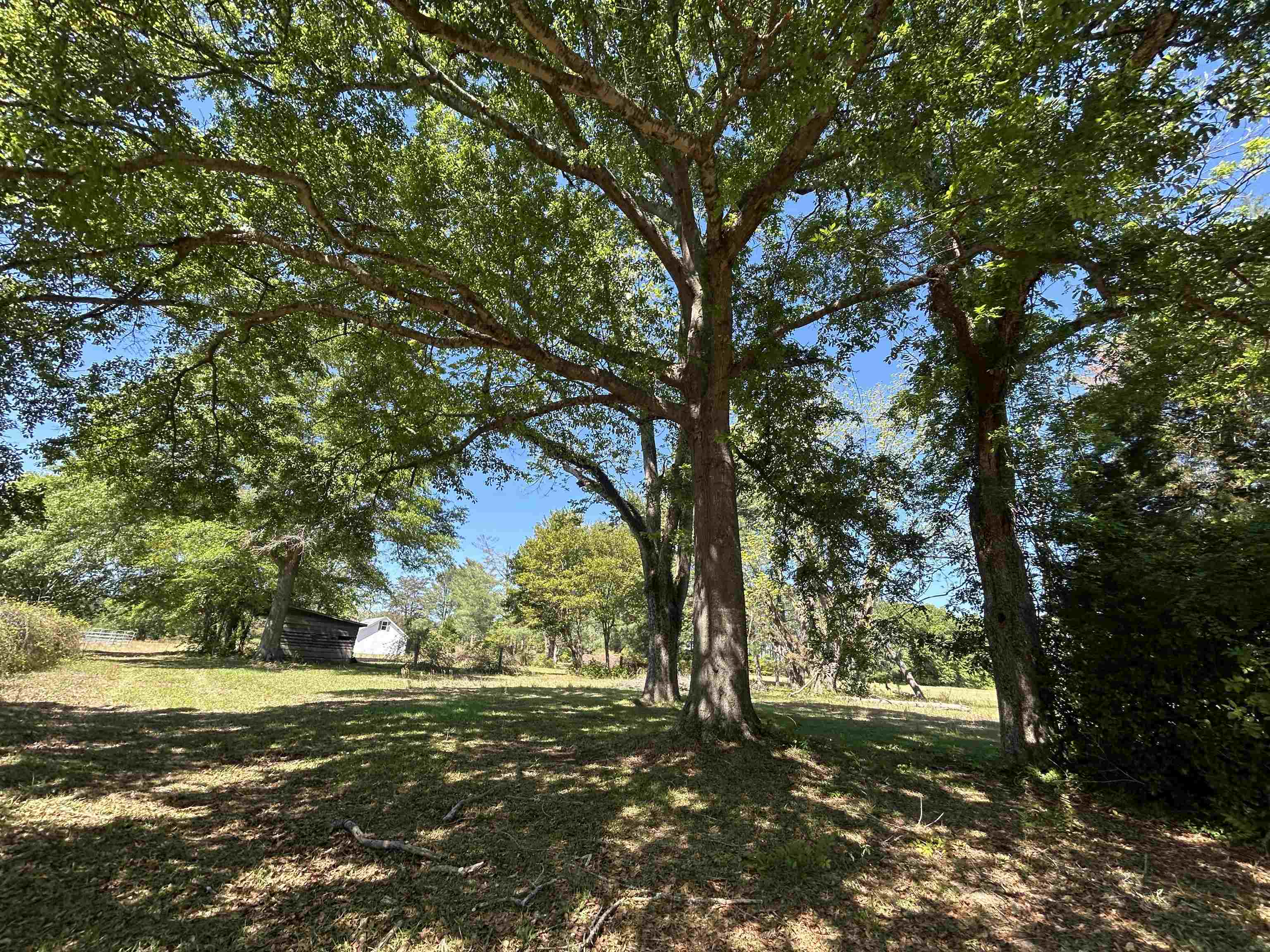 1811 Tranquil Road Mullins, SC 29574 - Photo 1 of 28