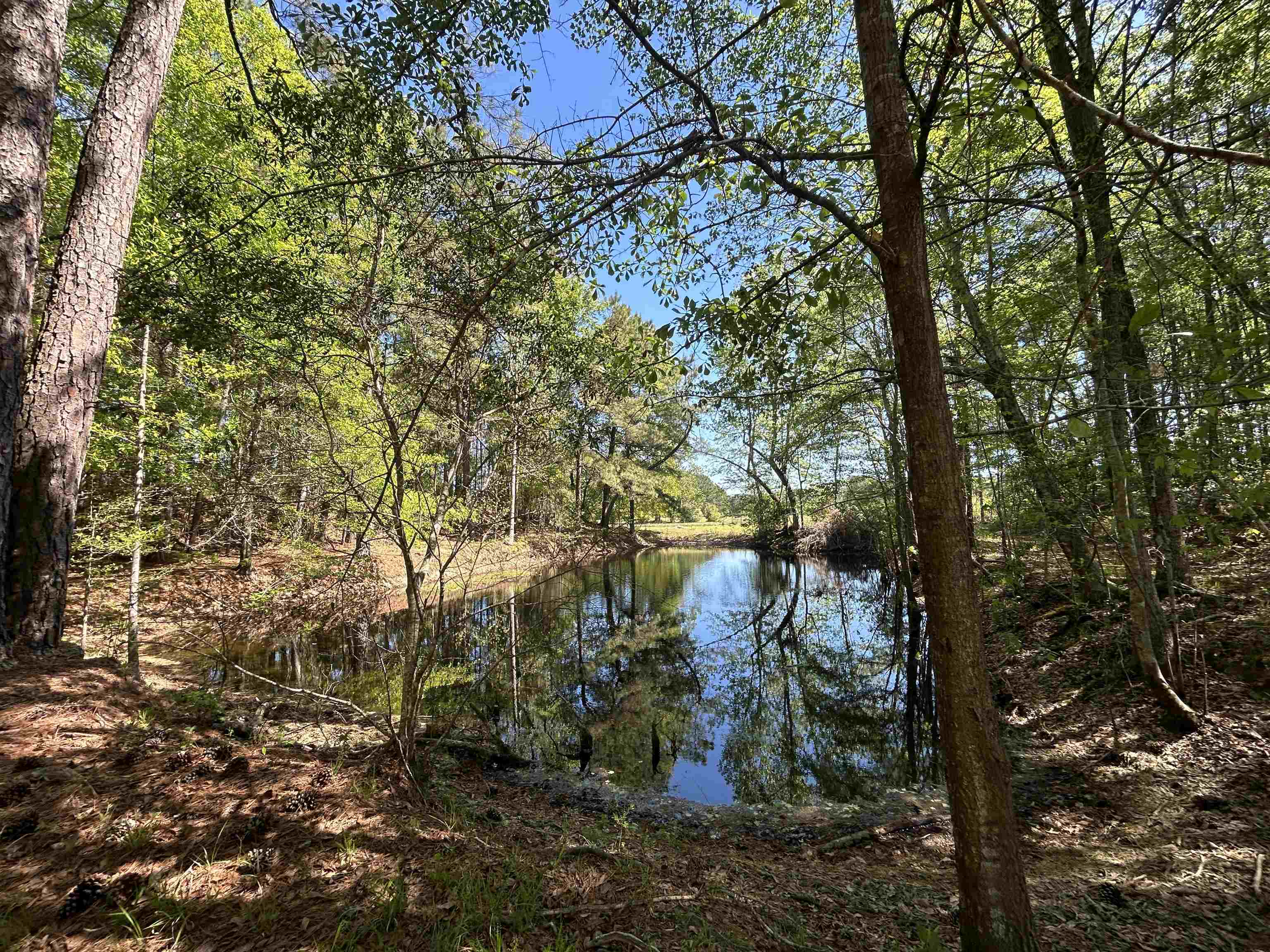 1811 Tranquil Road Mullins, SC 29574 - Photo 16 of 28