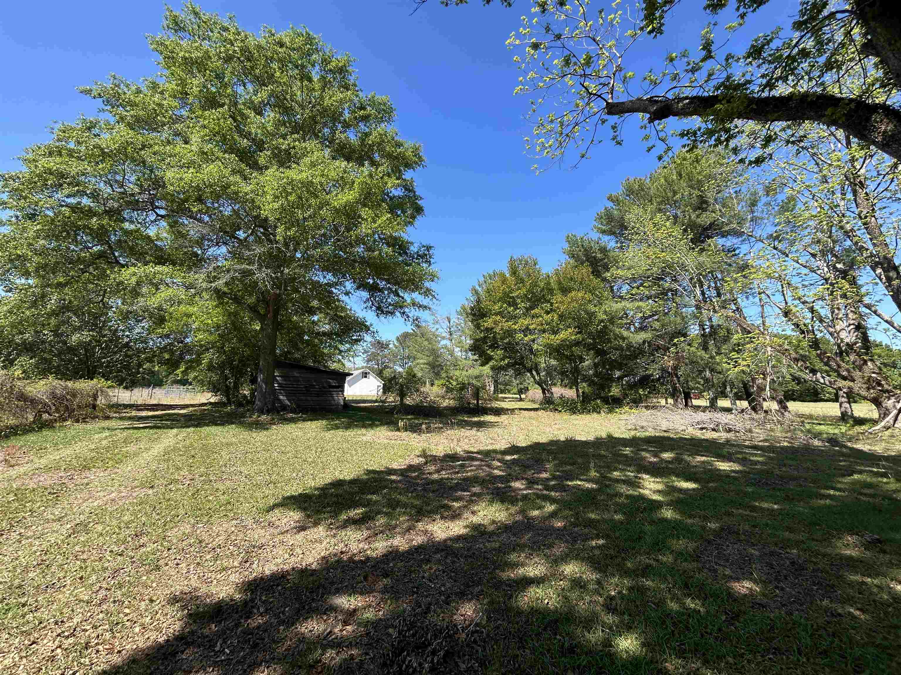 1811 Tranquil Road Mullins, SC 29574 - Photo 5 of 28