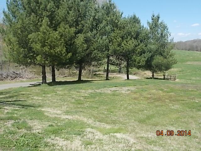 151 Pierce Road Pulaski, TN 38478 - Photo 17 of 20 Gallery Image 17
