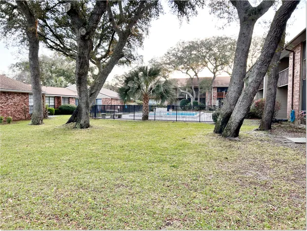 a view of a yard with a tree