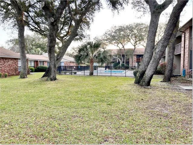 a view of a yard with a tree