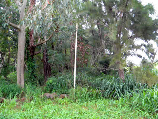 6180 Koolau Road, Unit 27 Kilauea, HI 96754 - Photo 12 of 20 Gallery Image 12