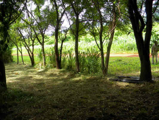 6180 Koolau Road, Unit 27 Kilauea, HI 96754 - Photo 16 of 20 Gallery Image 16
