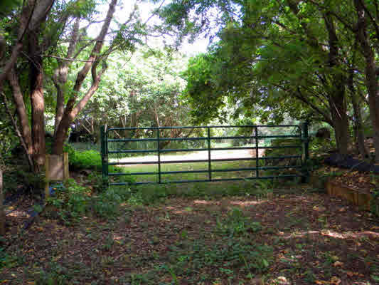 Gallery Image 6