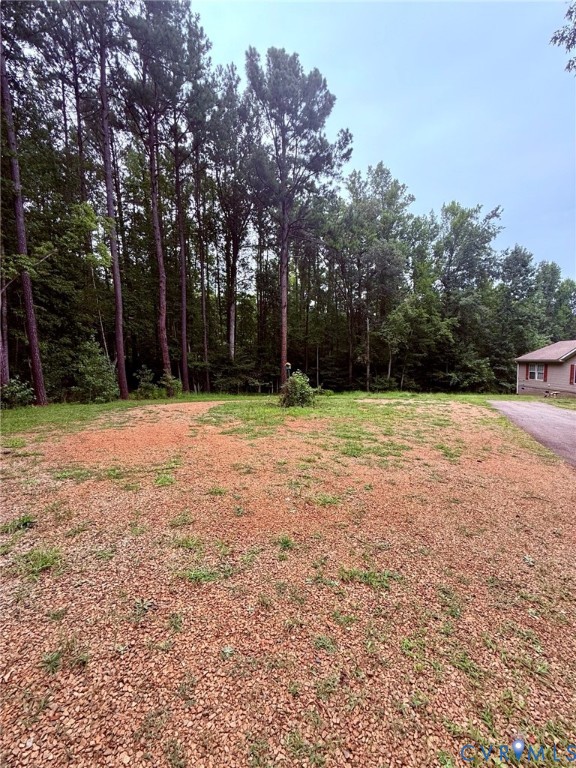 1133 Stingy Lane Road Blackstone, VA 23824 - Photo 2 of 14 a backyard of a house with lots of green space