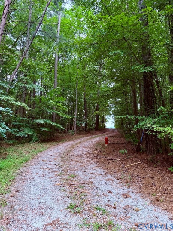 1133 Stingy Lane Road Blackstone, VA 23824 - Photo 3 of 14 a backyard of a house with lots of green space