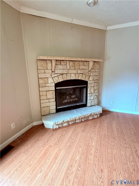 1133 Stingy Lane Road Blackstone, VA 23824 - Photo 7 of 14 a living room with a fireplace