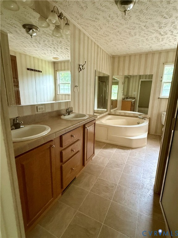 1133 Stingy Lane Road Blackstone, VA 23824 - Photo 9 of 14 a spacious bathroom with a granite countertop sink a toilet a mirror and shower