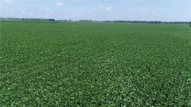 $3,513,120 | 1 North Of Cranberry Bend Road, Malta Bend, MO 65339