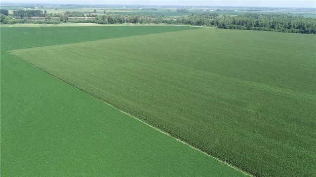 $3,513,120 | 1 North Of Cranberry Bend Road, Malta Bend, MO 65339