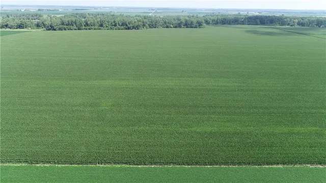 $3,513,120 | 1 North Of Cranberry Bend Road, Malta Bend, MO 65339