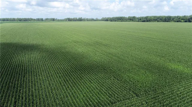 $3,513,120 | 1 North Of Cranberry Bend Road, Malta Bend, MO 65339