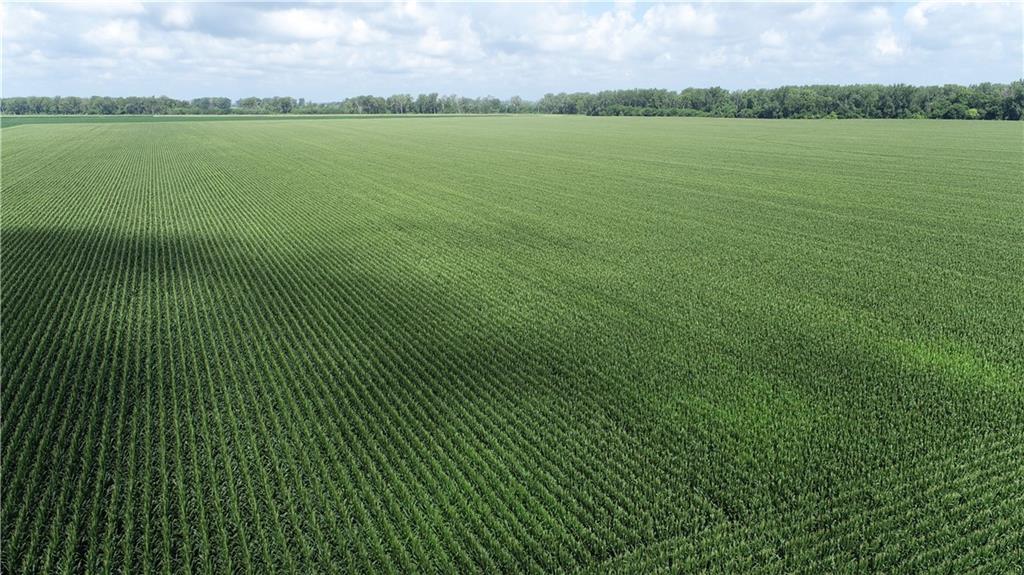 1 North Of Cranberry Bend Road Malta Bend, MO 65339 - Photo 22 of 25