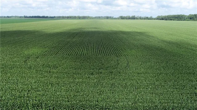 $3,513,120 | 1 North Of Cranberry Bend Road, Malta Bend, MO 65339