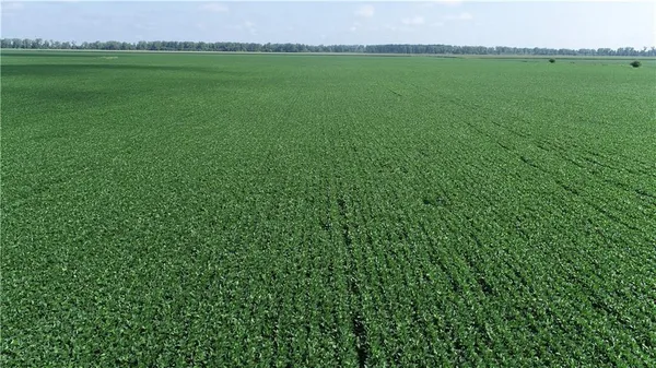 $3,513,120 | 1 North Of Cranberry Bend Road, Malta Bend, MO 65339