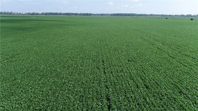 $3,513,120 | 1 North Of Cranberry Bend Road, Malta Bend, MO 65339